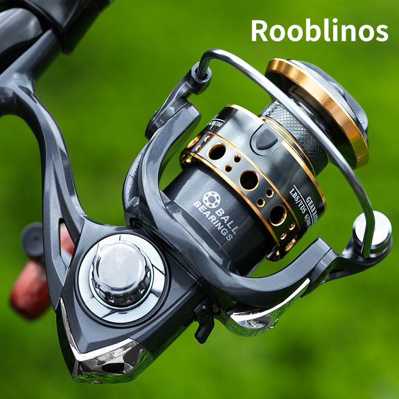 Rooblinos BK Spinning Vissen R - Daiwa Reel Bg recensie en prijs